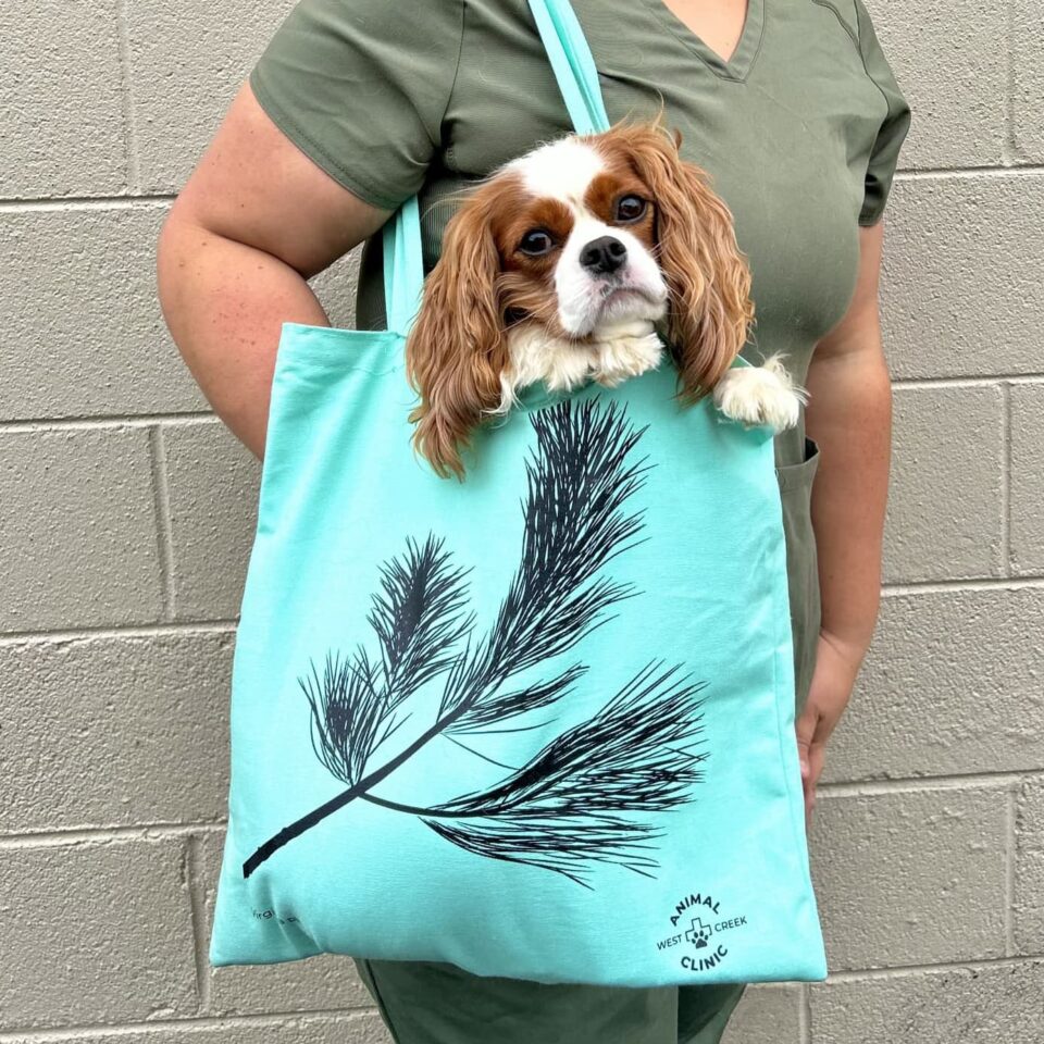 Dog in tote - West Creek Animal Clinic
