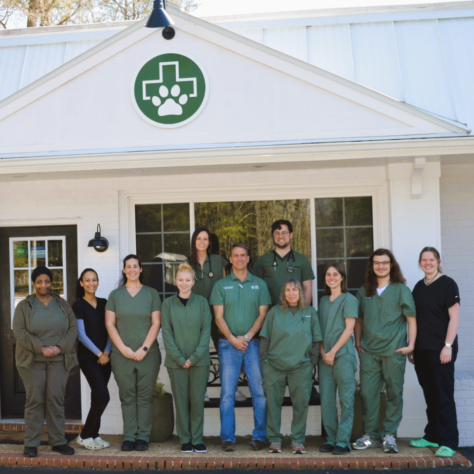 About us - West Creek Animal Clinic staff