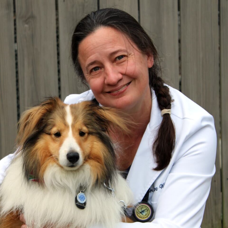 Dr Clara Winstead, veterinary medicine - West Creek Animal Clinic