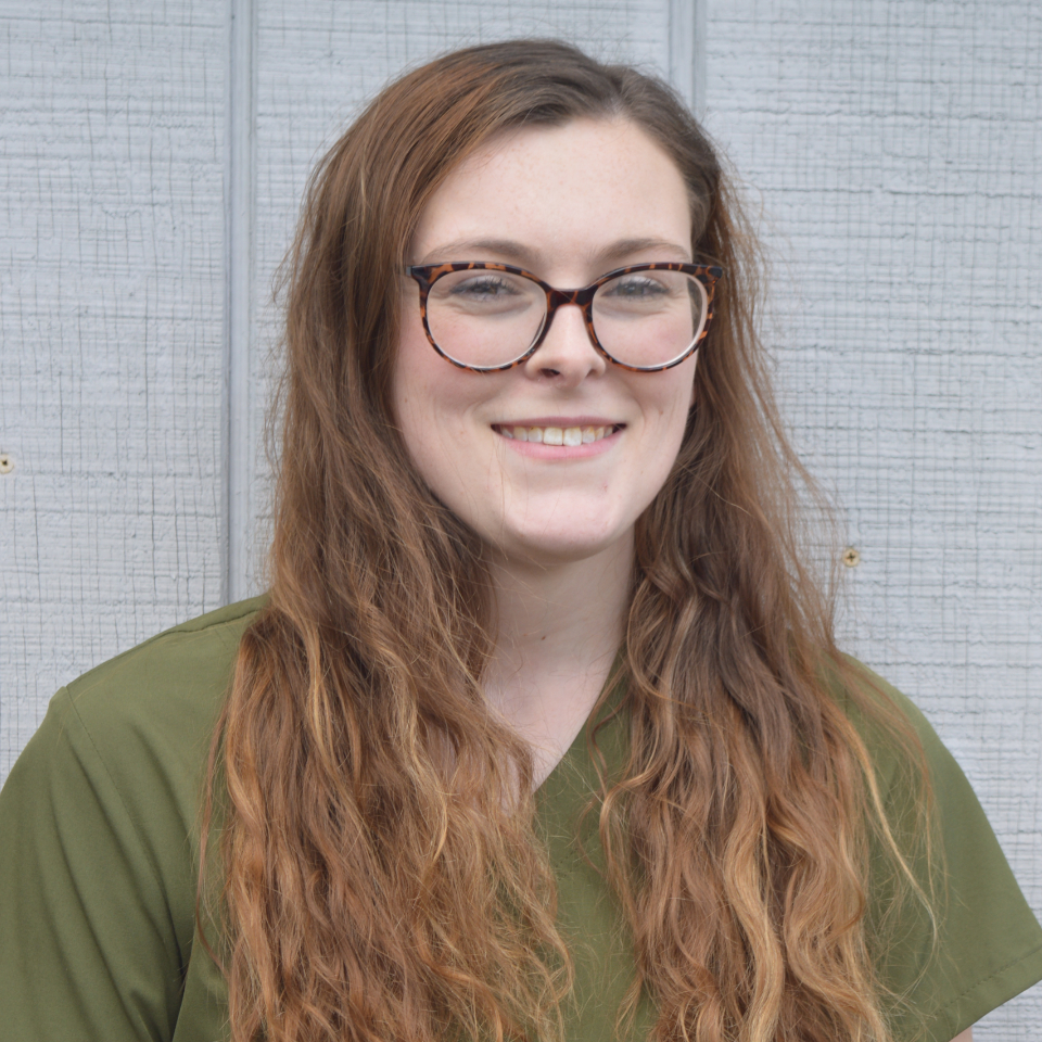 Olivia - West Creek Animal Clinic