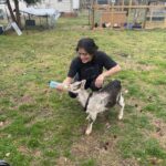 Tori - West Creek Animal Clinic