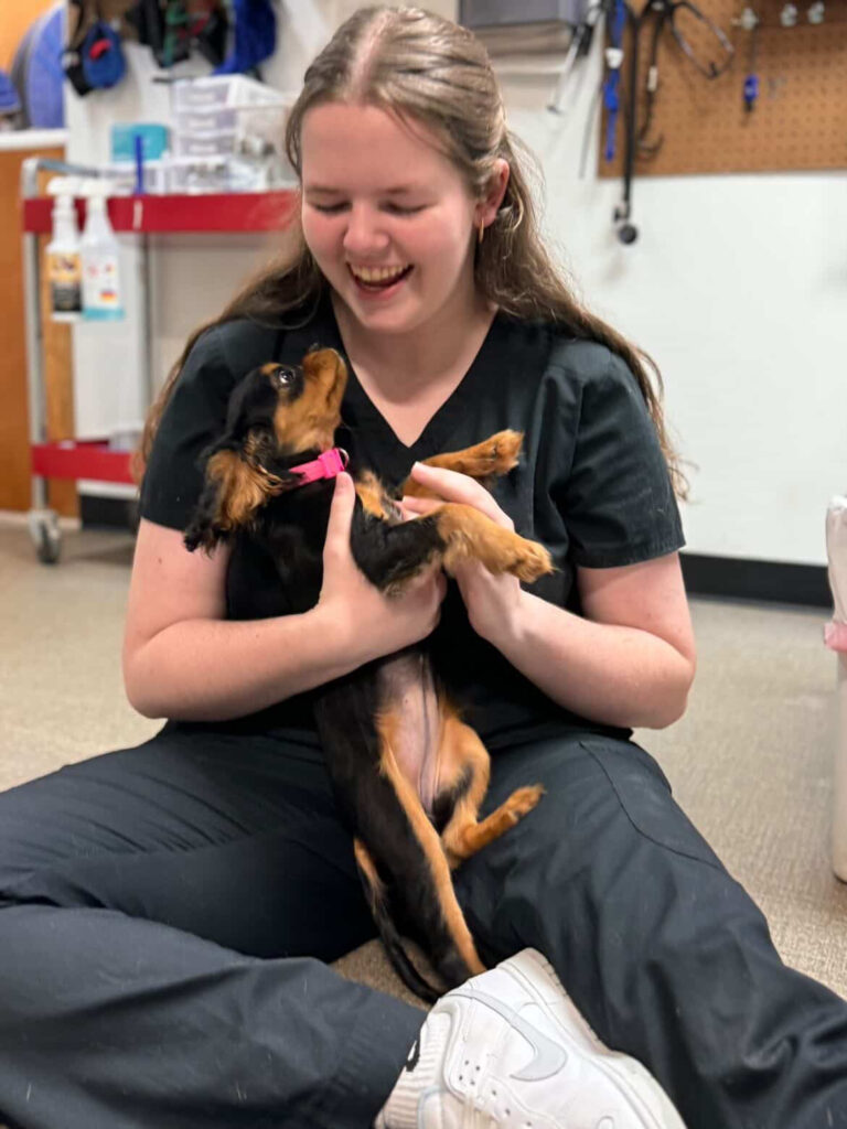 Maddie - West Creek Animal Clinic