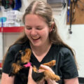 Maddie close-up - West Creek Animal Clinic