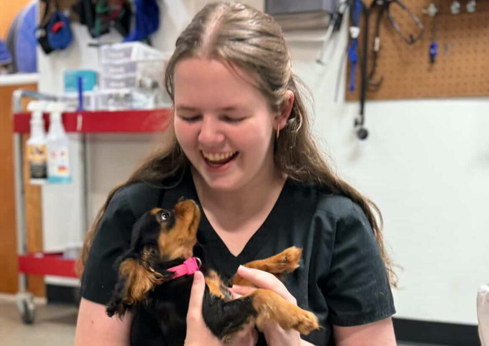 Maddie close-up - West Creek Animal Clinic