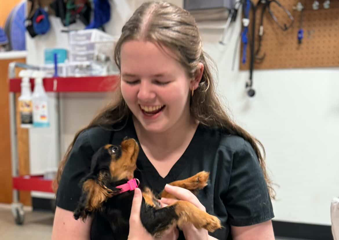 Maddie close-up - West Creek Animal Clinic